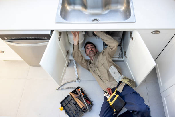 Best Septic Systems  in Homestead Meadows South, TX