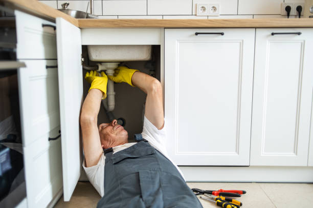 Professional Plumbing in Homestead Meadows South, TX